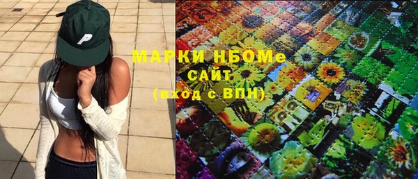 прущие грибы Абаза