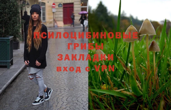 дурь Алексеевка