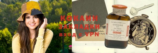 амф Алексин