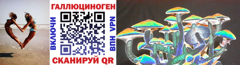 Псилоцибиновые грибы мицелий  Хасавюрт 